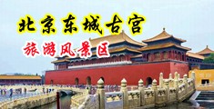 亚州女人噪,逼电影中国北京-东城古宫旅游风景区